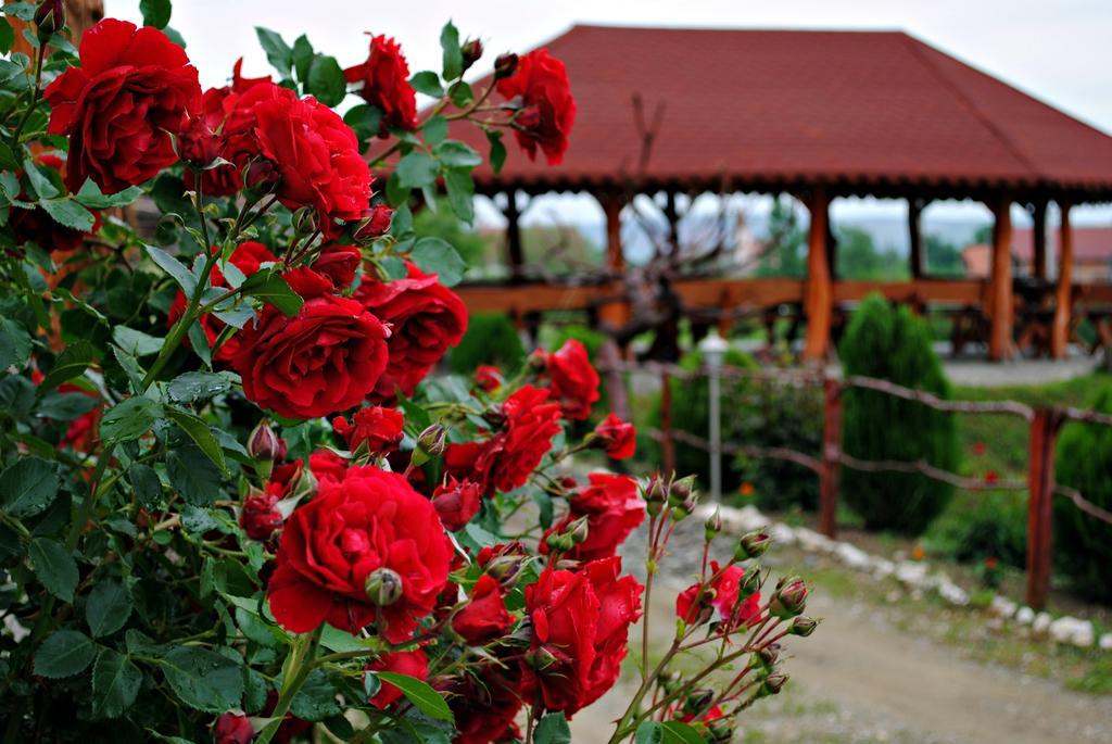 Pensiunea Faur Sebeş Buitenkant foto